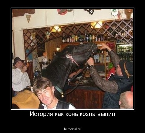 История как конь козла выпил