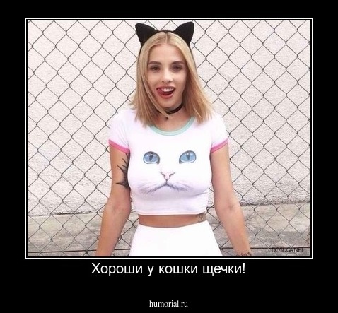 Хороши у кошки щечки!