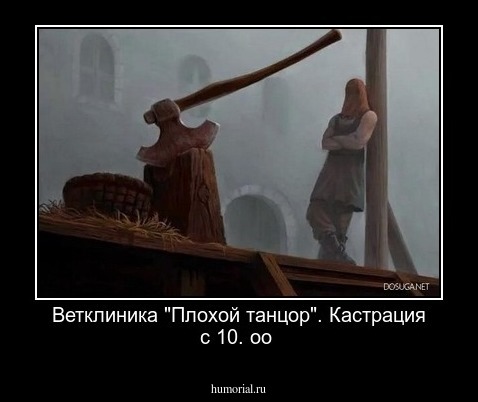 Ветклиника "Плохой танцор". Кастрация с 10. оо