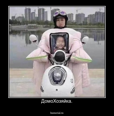 ДомоХозяйка.