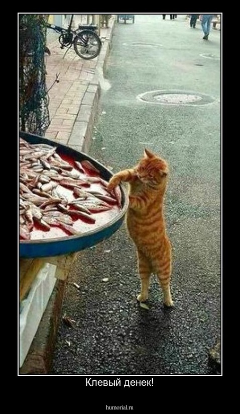Клевый денек!