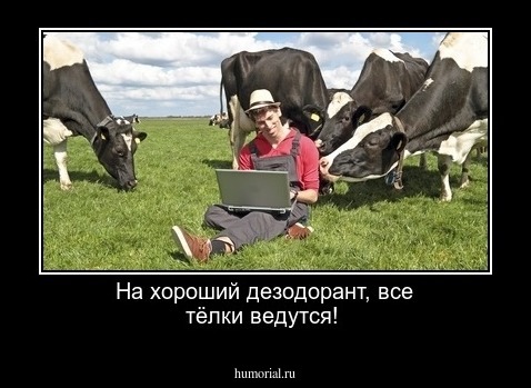 На хороший дезодорант, все тёлки ведутся!  