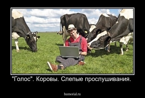 "Голос". Коровы. Слепые прослушивания. 