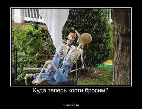 Куда теперь кости бросим?