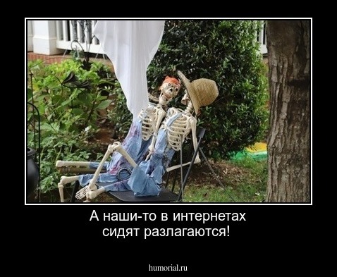 А наши-то в интернетах сидят разлагаются!