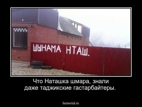 Что Наташка шмара, знали даже таджикские гастарбайтеры.