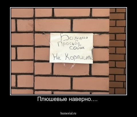 Плюшевые наверно.... 