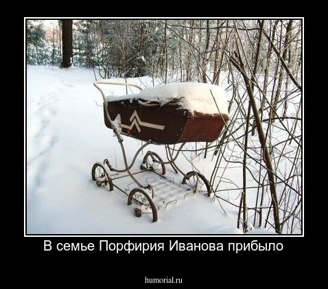 В семье Порфирия Иванова прибыло