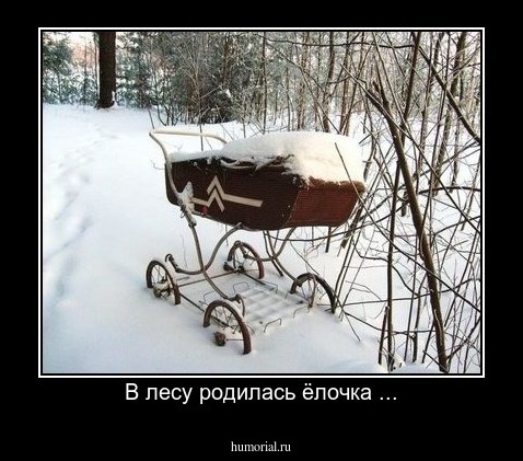 В лесу родилась ёлочка ...