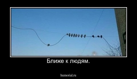Ближе к людям.