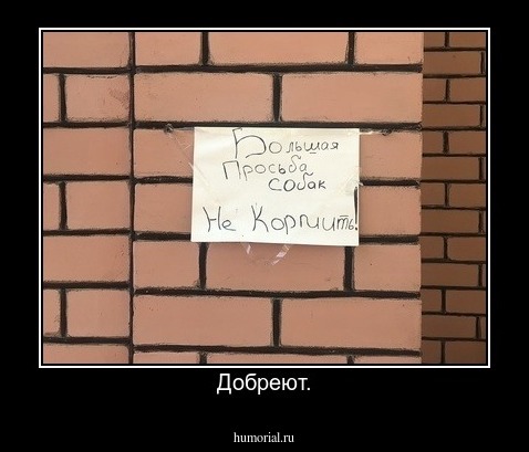 Добреют.