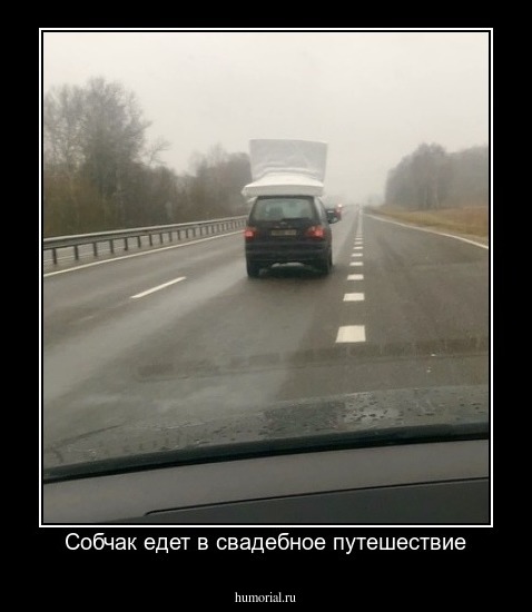 Собчак едет в свадебное путешествие
