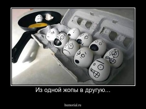 Из одной жопы в другую...