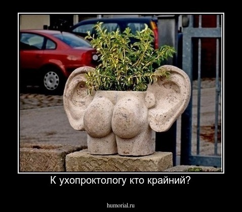К ухопроктологу кто крайний?