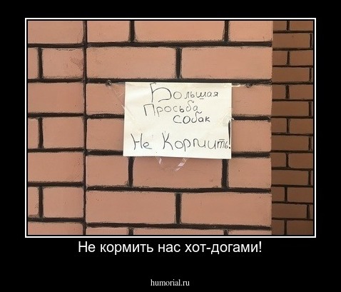 Не кормить нас хот-догами!