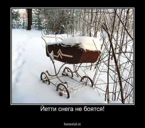 Йетти снега не боятся!