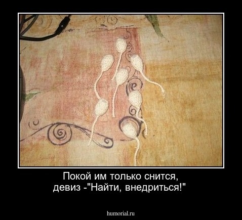 Покой им только снится, девиз -"Найти, внедриться!"