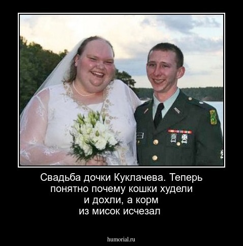 Свадьба дочки Куклачева. Теперь понятно почему кошки худели и дохли, а корм из мисок исчезал