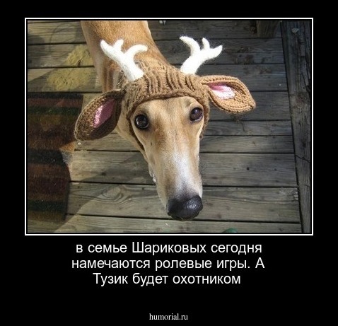 в семье Шариковых сегодня намечаются ролевые игры. А Тузик будет охотником
