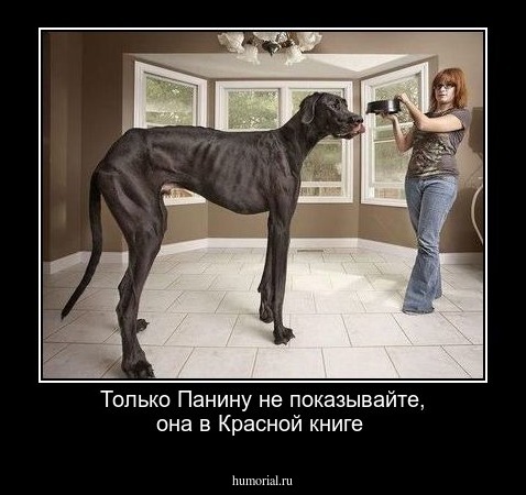 Только Панину не показывайте, она в Красной книге