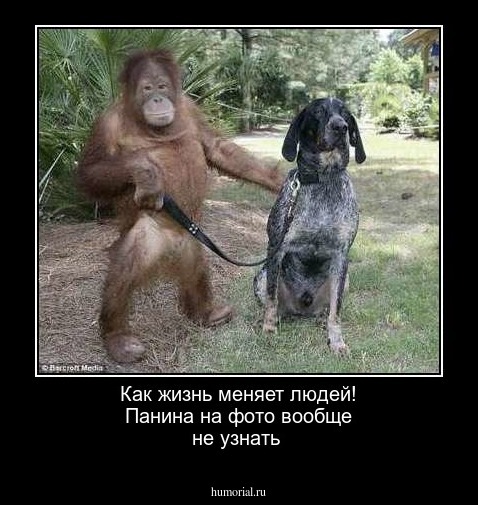 Как жизнь меняет людей! Панина на фото вообще не узнать