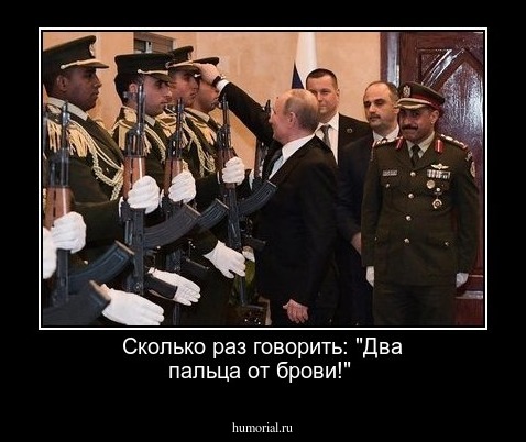 Сколько раз говорить: "Два пальца от брови!"
