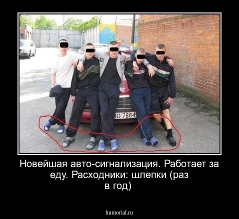 Новейшая авто-сигнализация. Работает за еду. Расходники: шлепки (раз в год)