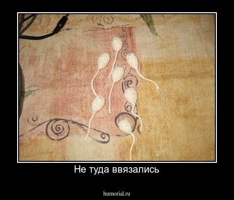 Не туда ввязались