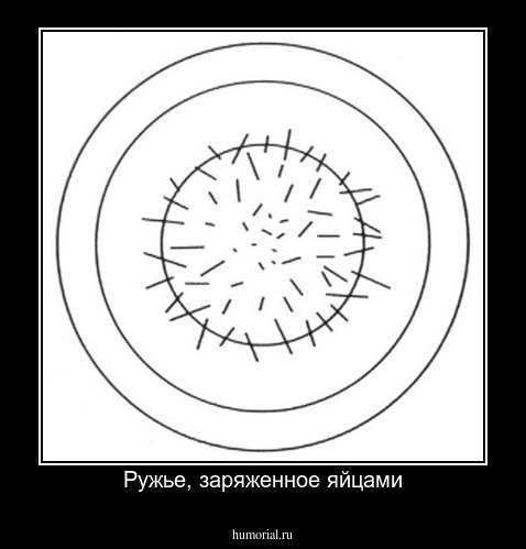 Ружье, заряженное яйцами