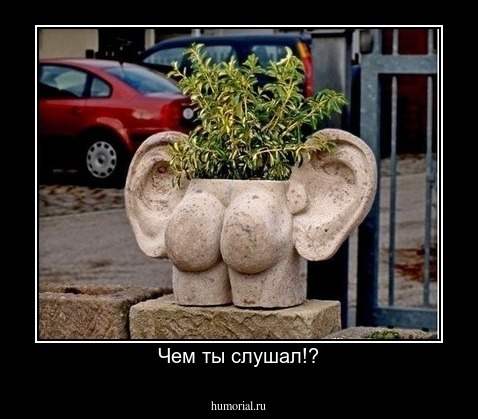 Чем ты слушал!?