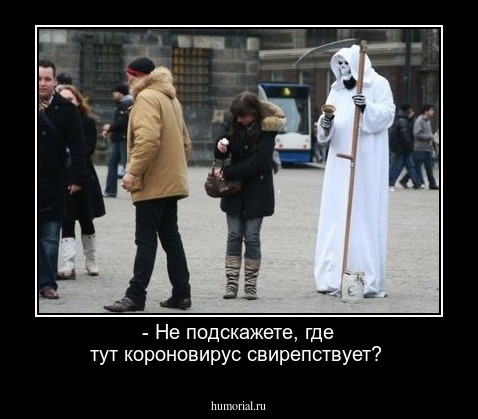 - Не подскажете, где тут короновирус свирепствует?