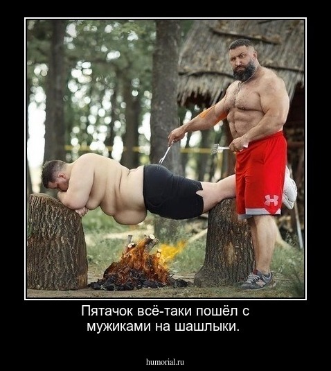 Пятачок всё-таки пошёл с мужиками на шашлыки.