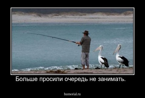 Больше просили очередь не занимать.  