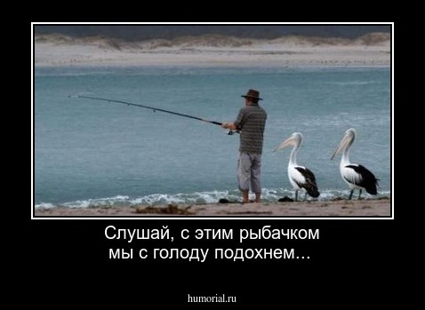 Слушай, с этим рыбачком мы с голоду подохнем...