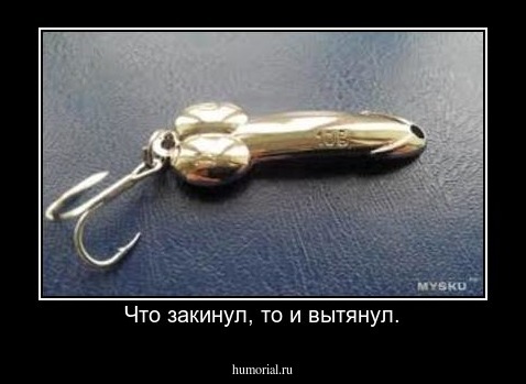 Что закинул, то и вытянул.