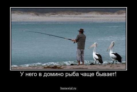 У него в домино рыба чаще бывает!