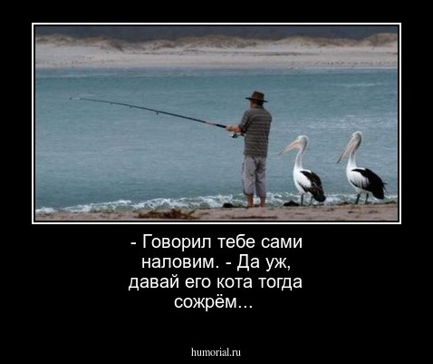 - Говорил тебе сами наловим.
- Да уж, давай его кота тогда сожрём...
