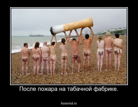 После пожара на табачной фабрике.