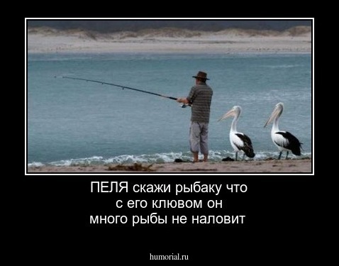 ПЕЛЯ скажи рыбаку что с его клювом он много рыбы  не наловит 