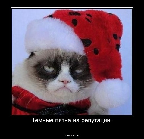 Темные пятна на репутации.