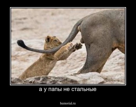 а у папы не стальные