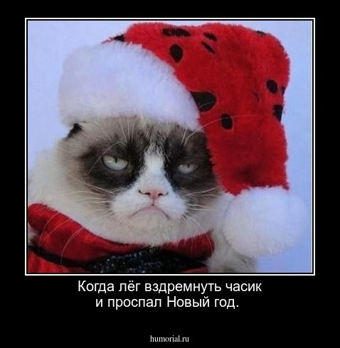 Когда лёг вздремнуть часик и проспал Новый год.
