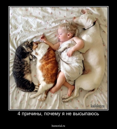 4 причины, почему я не высыпаюсь