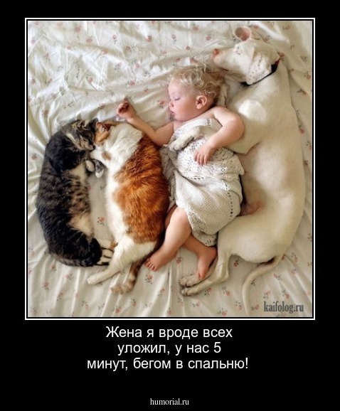 Жена я вроде всех уложил, у нас 5 минут, бегом в спальню!