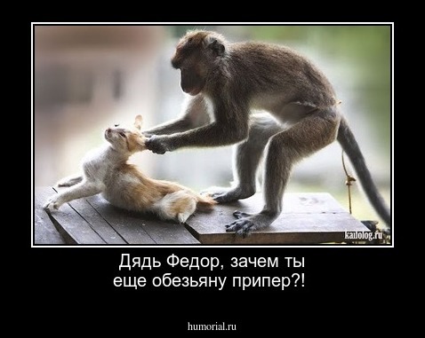 Дядь Федор, зачем ты еще обезьяну припер?!