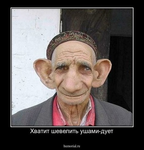 Хватит шевелить ушами-дует