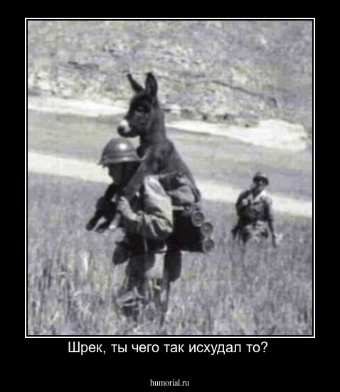 Шрек, ты чего так исхудал то? 