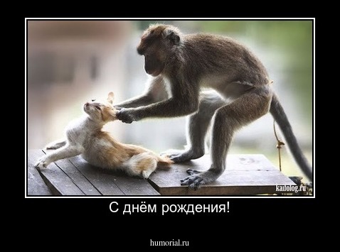 С днём рождения!