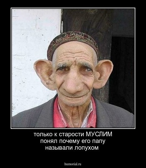 только к старости МУСЛИМ понял почему его папу называли лопухом 