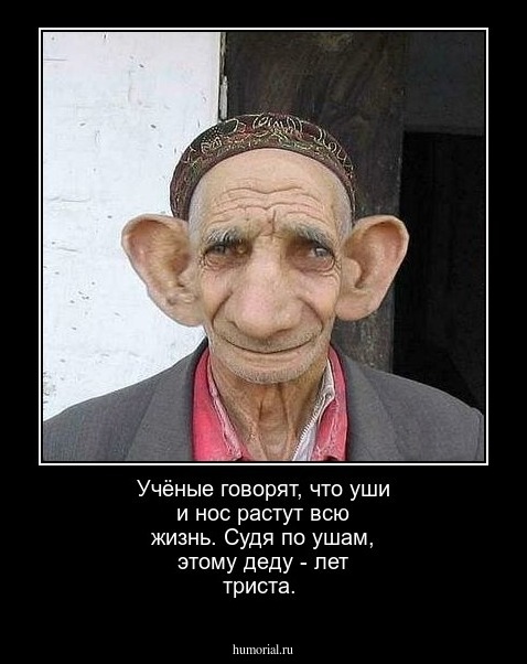 Учёные говорят, что уши и нос растут всю жизнь. Судя по ушам, этому деду - лет триста.
